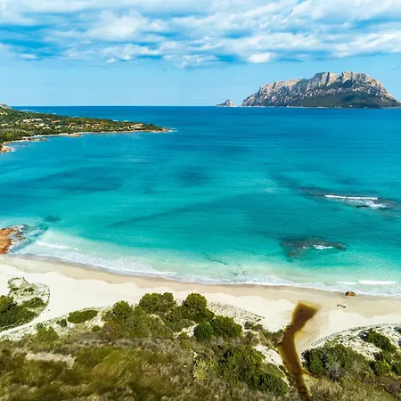 Majra By Klodge Villa *