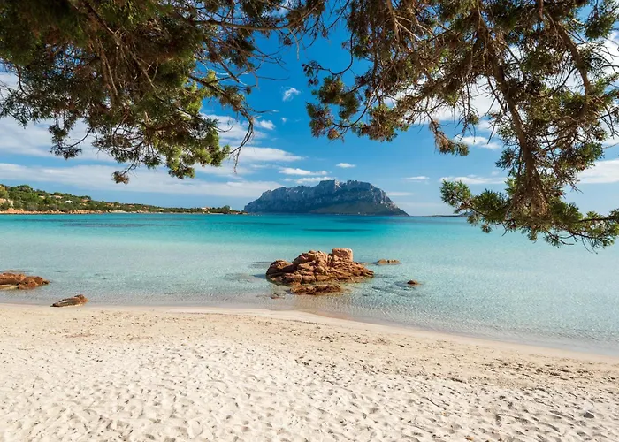 Majra By Klodge Villa Olbia